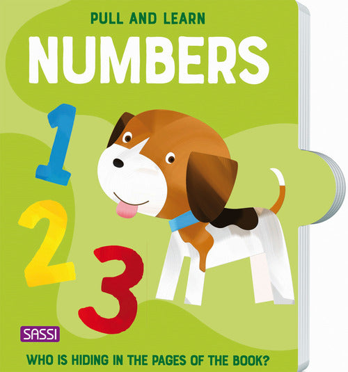 Cover of Pull and learn. Numbers