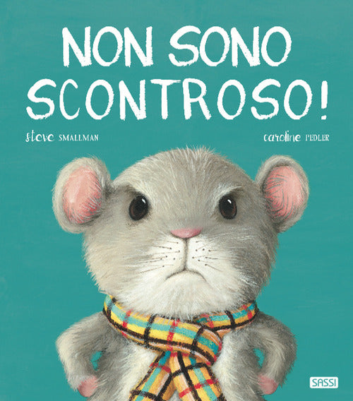 Cover of Non sono scontroso!