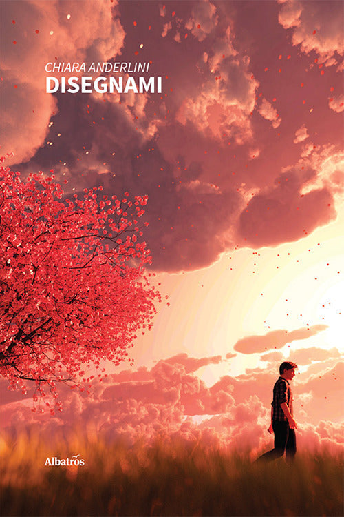 Cover of Disegnami
