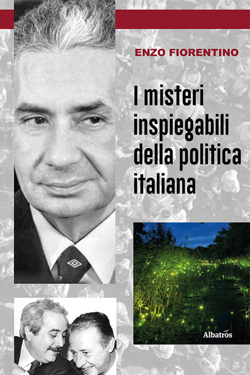 Cover of misteri inspiegabili della politica italiana