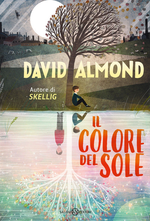 Cover of colore del sole