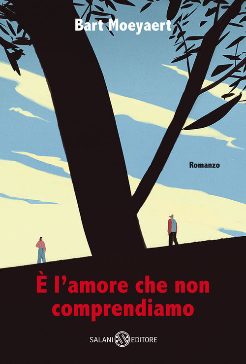Cover of È l'amore che non comprendiamo