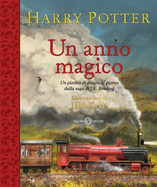 Cover of Harry Potter. Un anno magico