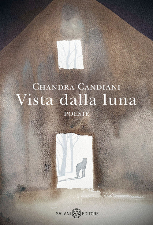 Vista dalla luna