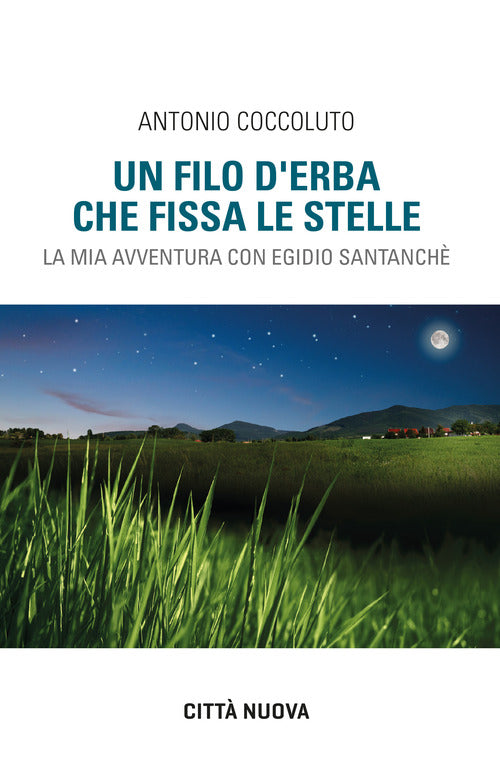 Cover of filo d'erba che fissa le stelle. La mia avventura con Egidio Santanchè