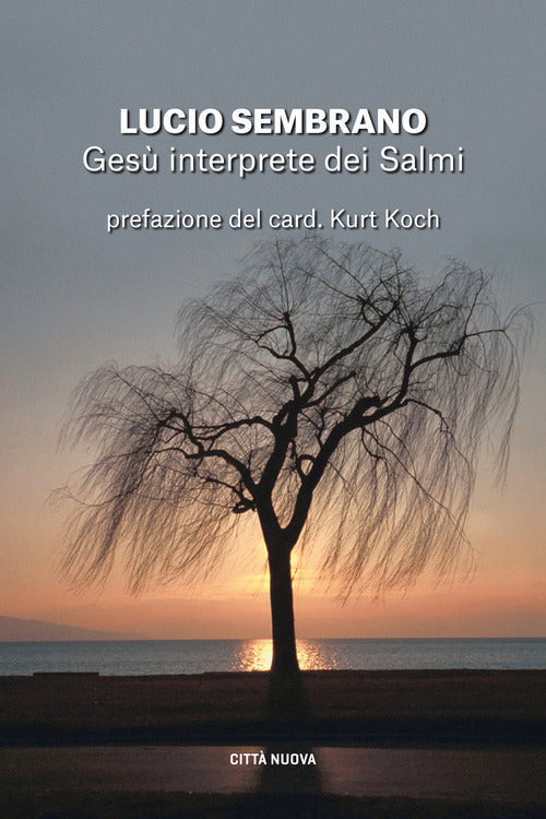 Cover of Gesù interprete dei Salmi. Fedeltà alla tradizione e novità di senso