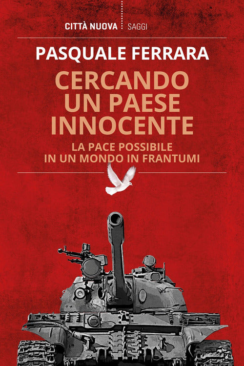 Cover of Cercando un paese innocente. La pace possibile in un mondo in frantumi