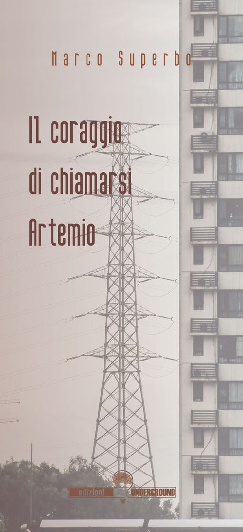 Cover of coraggio di chiamarsi Artemio