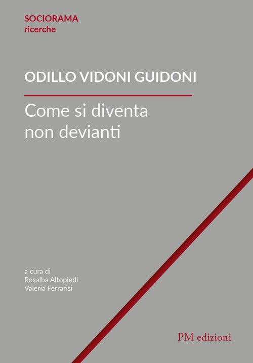 Cover of Come si diventa non devianti