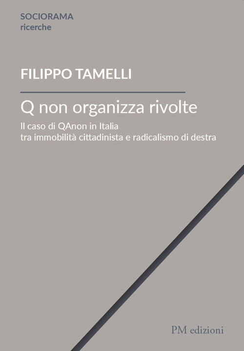 Cover of Q non organizza rivolte. Il caso di QAnon in Italia tra immobilità cittadinista e radicalismo di destra