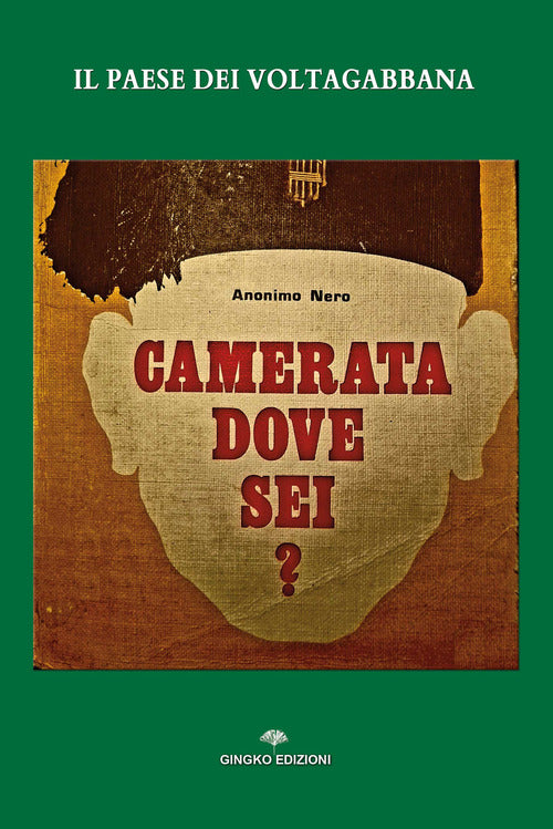 Cover of paese dei voltagabbana. Camerata dove sei?