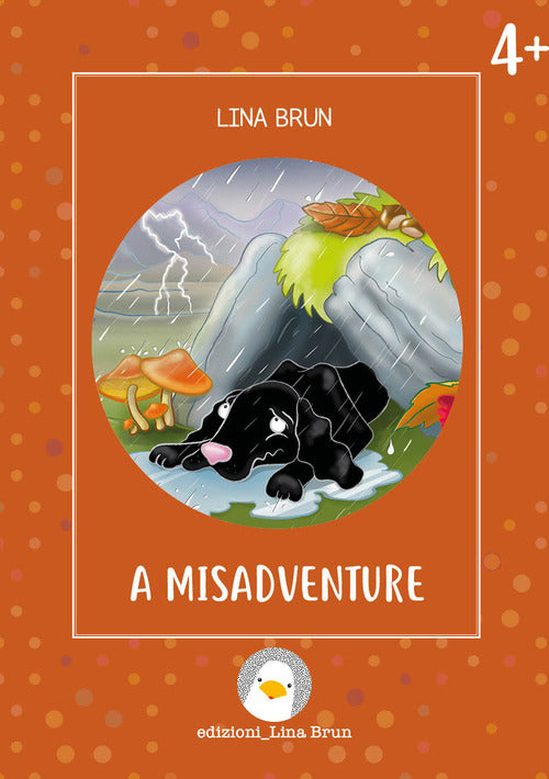 Cover of misadventure