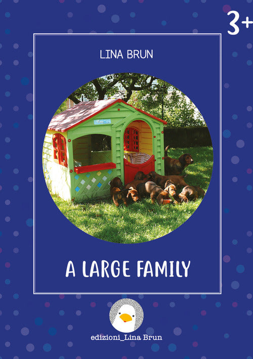 Cover of large family