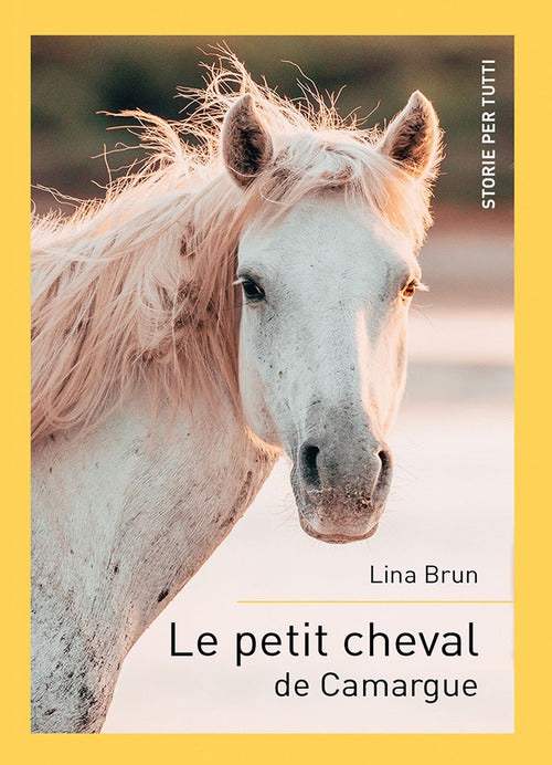 Cover of petit cheval de Camargue