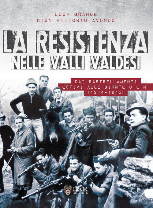 Cover of Resistenza nelle valli valdesi. Dai rastrellamenti estivi alle giunte CLN ( 1944-1945)