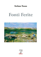 Cover of Fonti Ferite