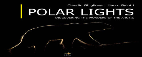 Cover of Polar lights. Discovering the wonders of the Arctic