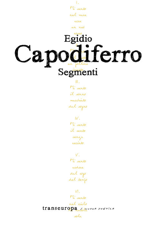 Cover of Segmenti