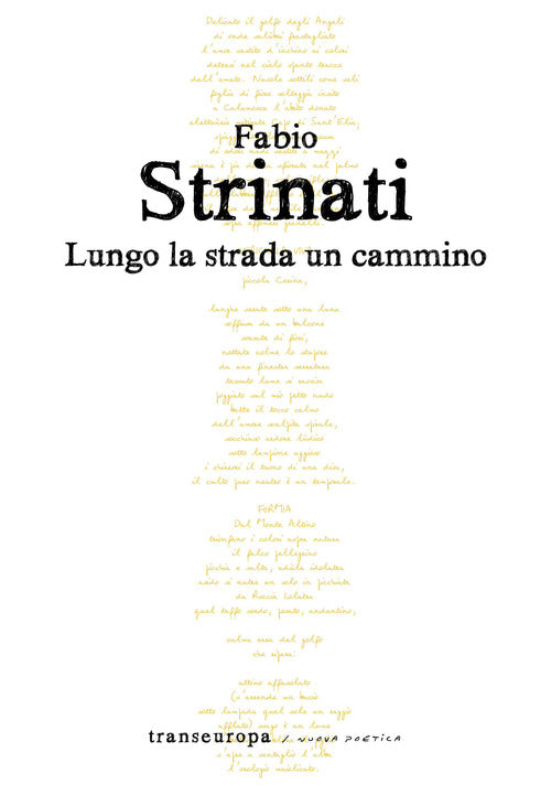 Cover of Lungo la strada un cammino