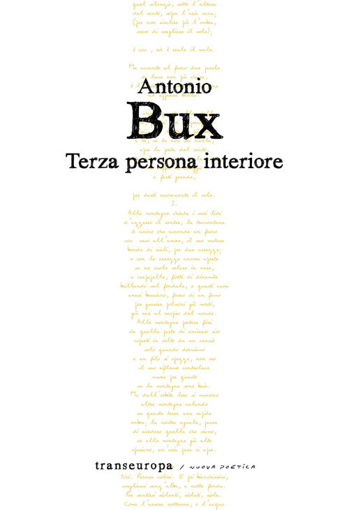 Cover of Terza persona interiore