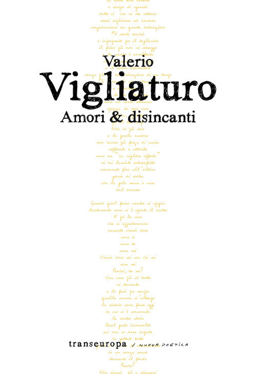 Cover of Amori & disincanti