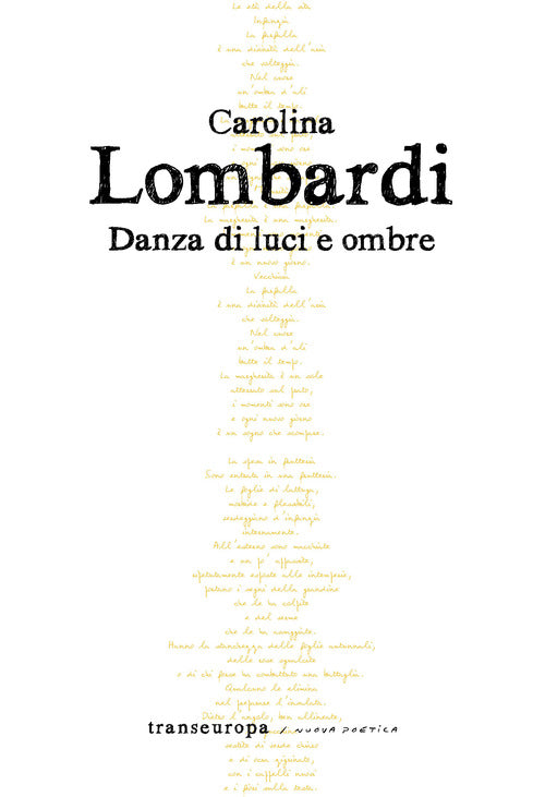 Cover of Danza di luci e ombre