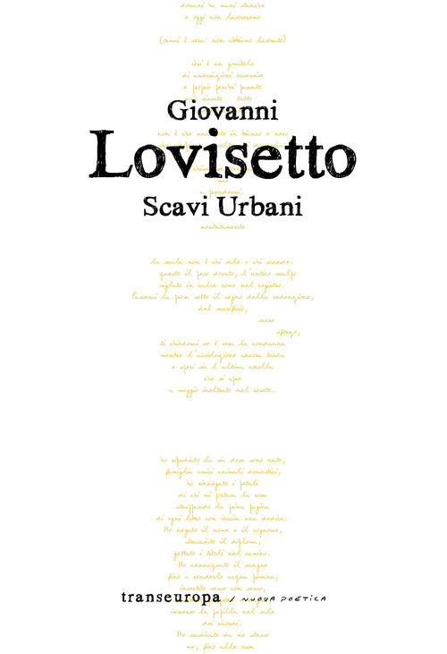 Cover of Scavi urbani