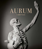 Cover of Aurum. Fabio Viale. Ediz. italiana e inglese