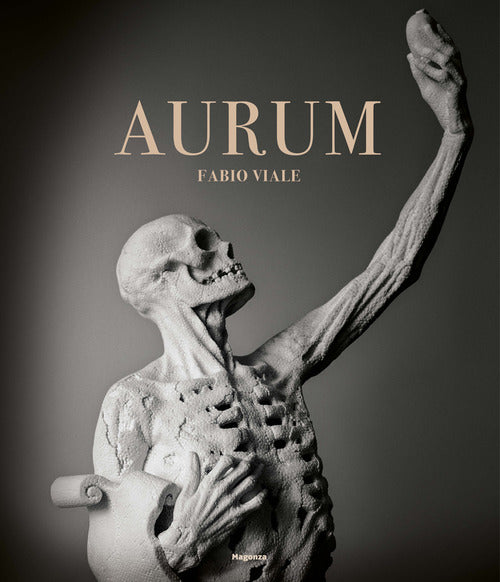Cover of Aurum. Fabio Viale. Ediz. italiana e inglese