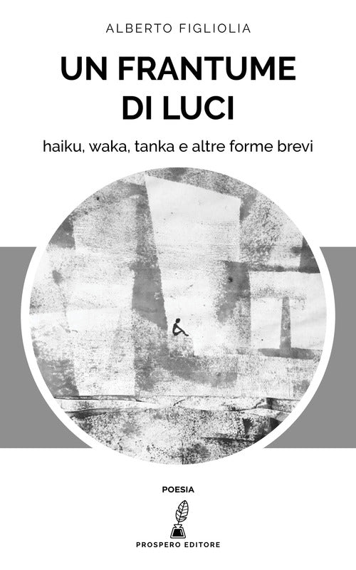 Cover of frantume di luci. Haiku, waka, tanka e altre forme brevi