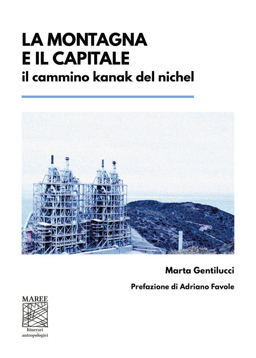 Cover of montagna e il capitale. Il cammino kanak del nichel