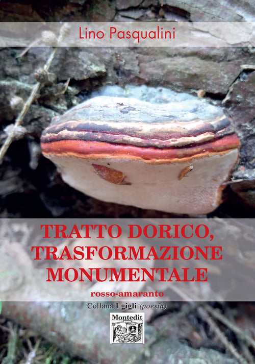 Cover of Tratto dorico, trasformazione monumentale