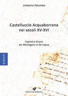 Cover of Castelluccio Acquaborrana Nei secoli XV-XVI. Capitoli e grazie dei Montagano e De Capua