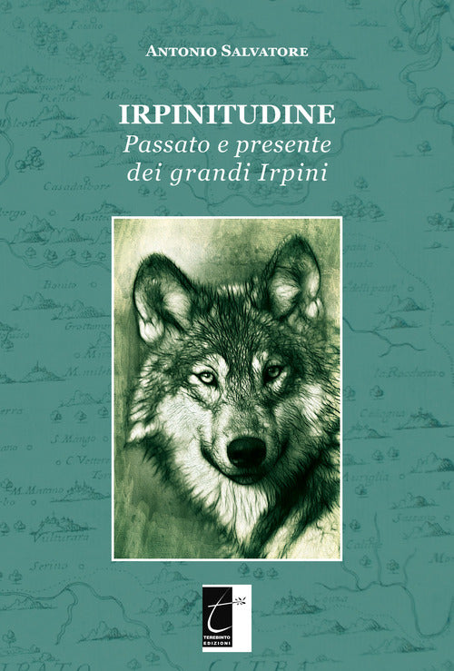 Cover of Irpinitudine. Passato e presente dei grandi irpini