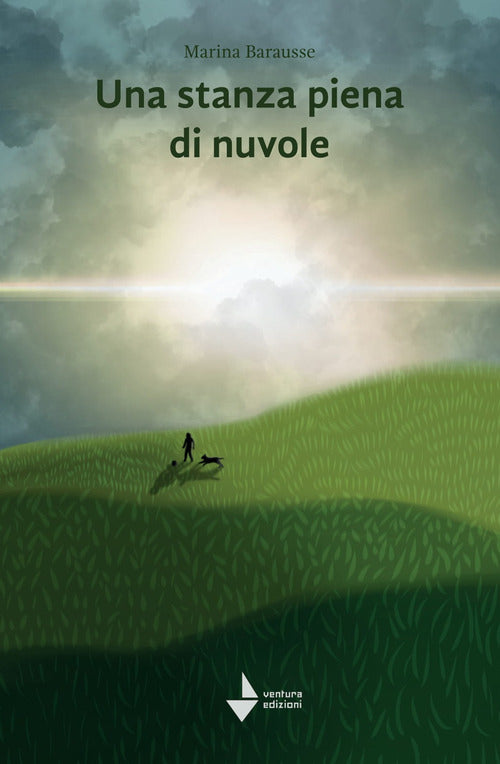 Cover of stanza piena di nuvole