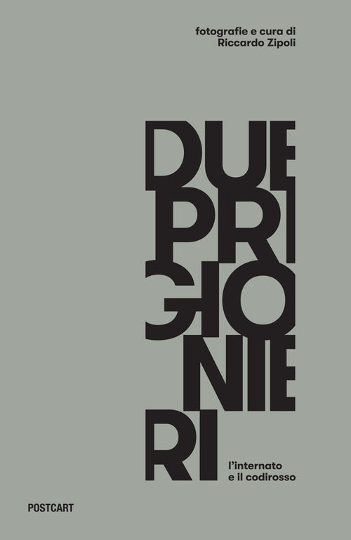 Cover of Due prigionieri. L'internato e il codirosso