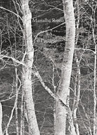 Cover of passaggio. L'incanata. Ediz. italiana e ingle