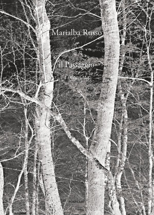 Cover of passaggio. L'incanata. Ediz. italiana e ingle