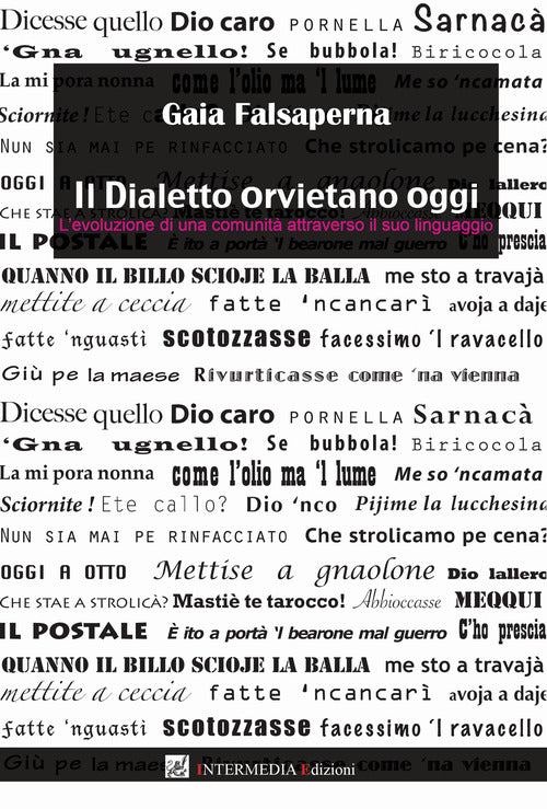 Cover of dialetto orvietano oggi. L'evoluzione di una comunità attraverso il suo linguaggio