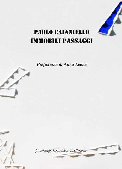 Cover of Immobili passaggi