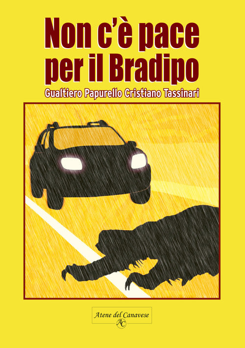 Cover of Non c'è pace per il bradipo