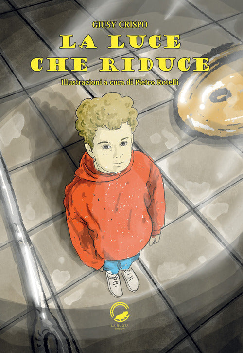 Cover of luce che riduce