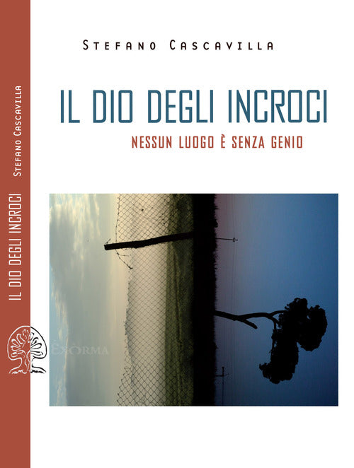 Cover of dio degli incroci. Nessun luogo è senza genio