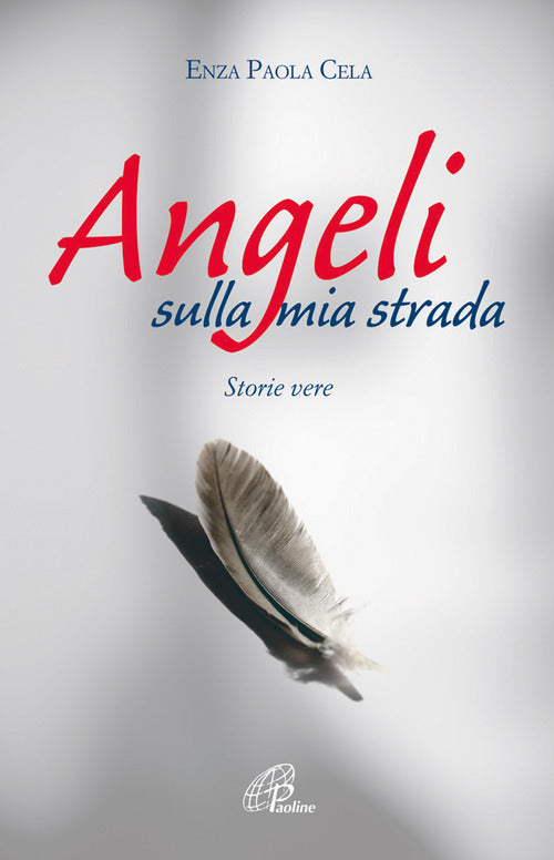 Cover of Angeli sulla mia strada. Storie vere