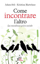 Cover of Come incontrare l'altro. La consulenza psico-sociale