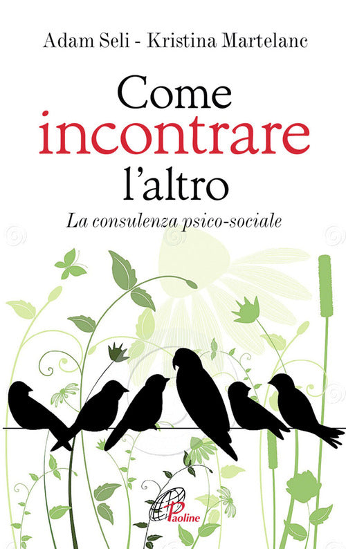 Cover of Come incontrare l'altro. La consulenza psico-sociale