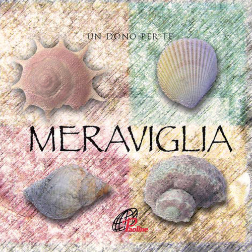 Cover of Meraviglia. Un dono per te