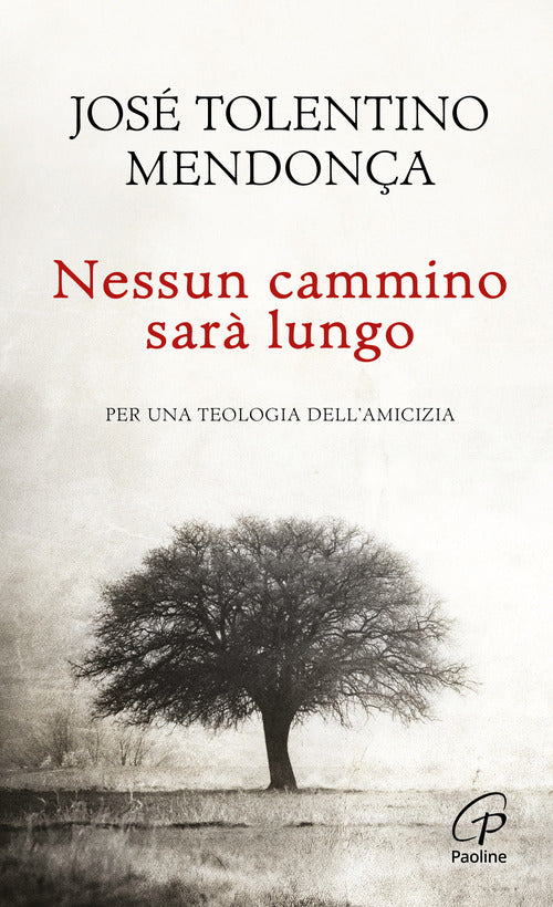 Cover of Nessun cammino sarà lungo. Per una teologia dell'amicizia