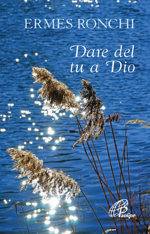 Cover of Dare del tu a Dio