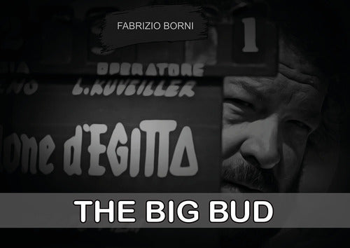 Cover of big Bud